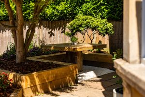 Photo 11- click for photo gallery